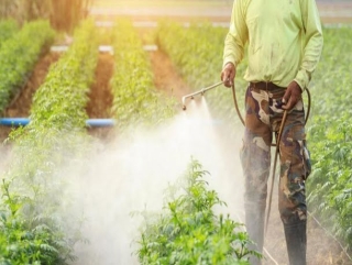 CÔNG TY TNHH SMART FARMING SFC  