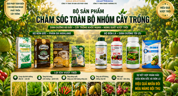 PHÂN BÓN GỐC HỮU CƠ HIGHLAND  VÀ PHÂN BÓN LÁ SFC _ COMBO TOÀN DIỆN CHO CÂY TRỒNG