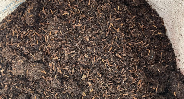 CÁCH NHẬN BIẾT PHÂN GÀ