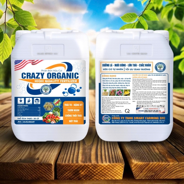 CRAZY ORGANIC